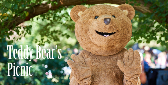 rp-tender-booking3-teddybear